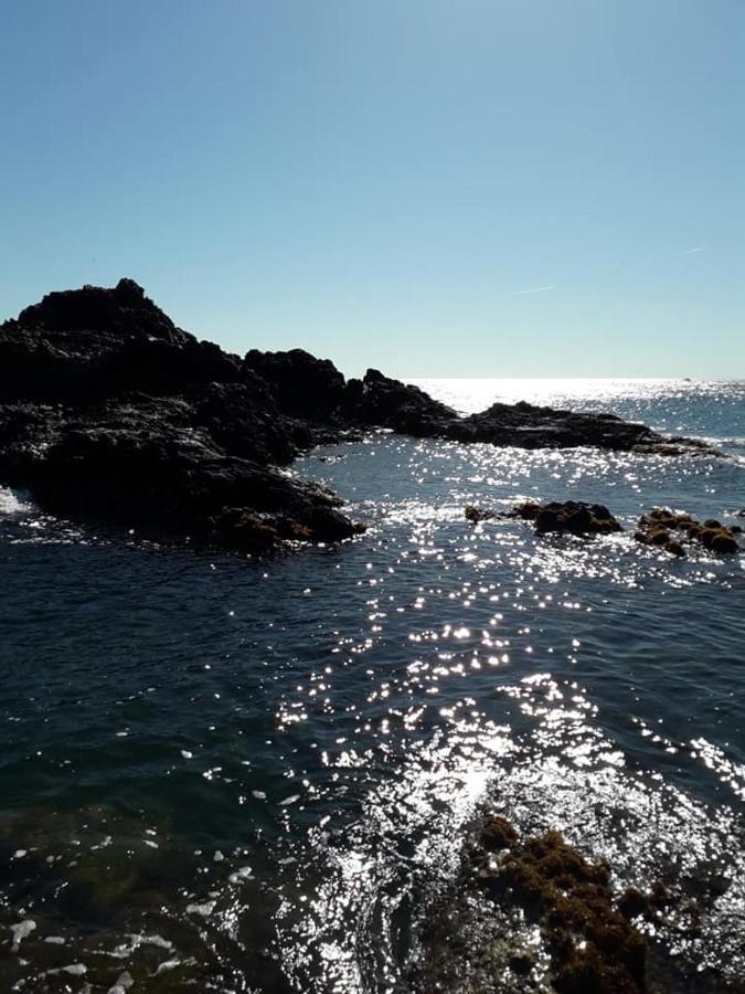 Lili Villa Céret Eksteriør billede